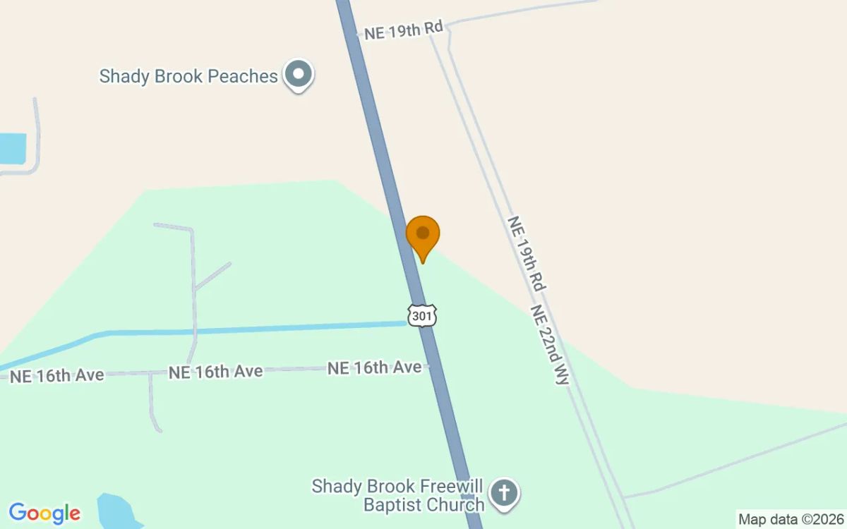 0.22 Acres in Sumterville - Sumter County, FL - Image 2