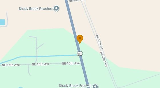 0.22 Acres in Sumterville - Sumter County, FL in Sumter County, FL