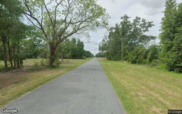 Decorative background for 1.49 Acres in Mayo - Lafayette County, FL image 6