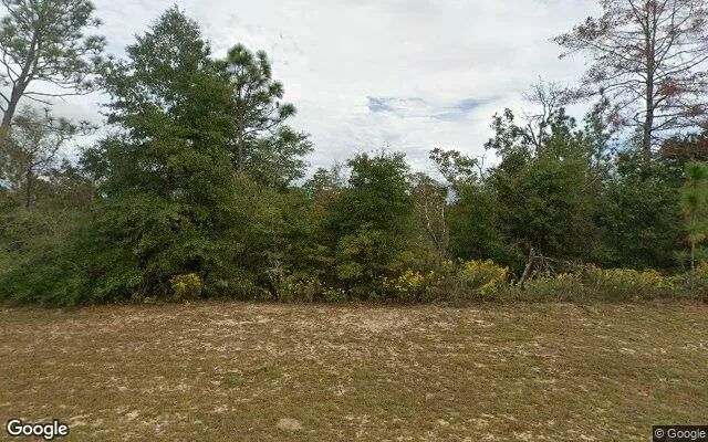 0.55 Acres in Chipley - Washington County, FL - Image 4