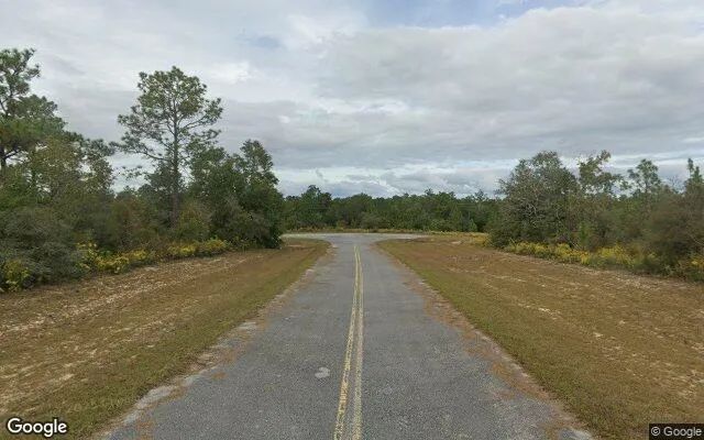 Decorative background for 0.55 Acres in Chipley - Washington County, FL image 5