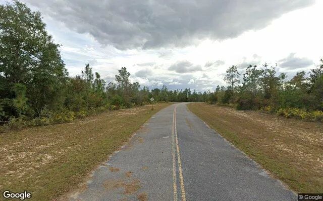 Decorative background for 0.55 Acres in Chipley - Washington County, FL image 6