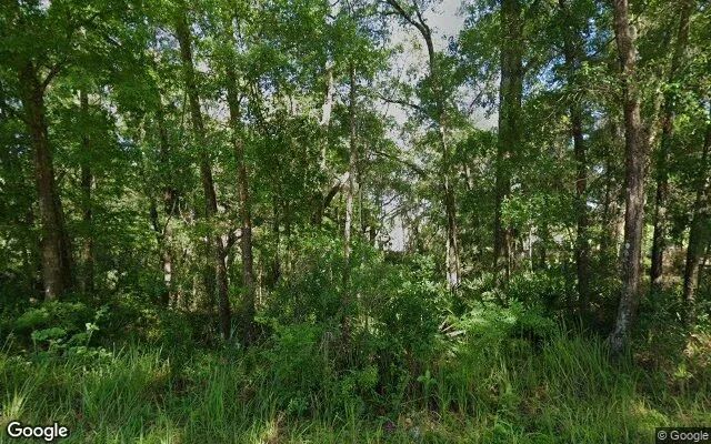 0.55 Acres in Trenton - Gilchrist County, FL in Gilchrist County, FL