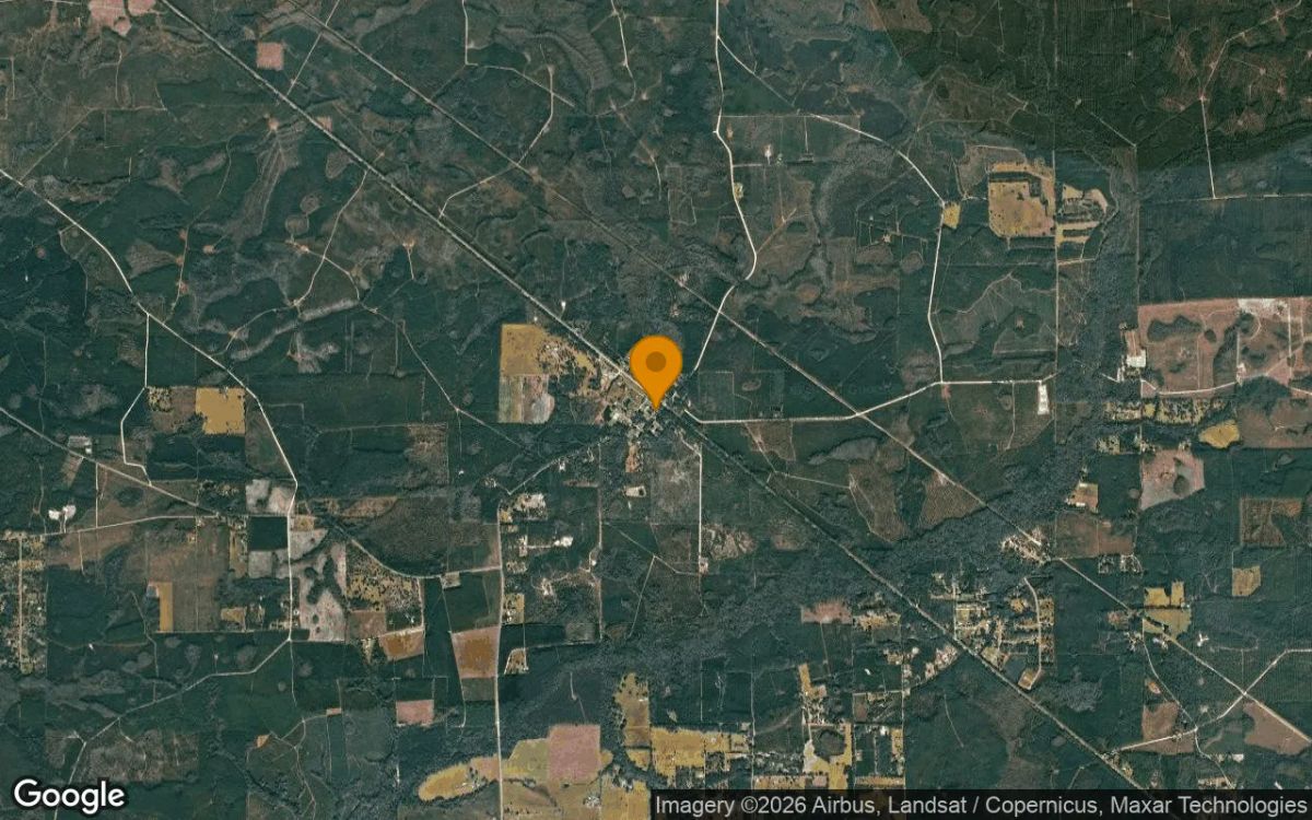 0.31 Acres in Lulu - Columbia County, FL - Image 3