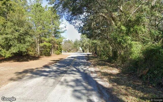 Decorative background for 0.31 Acres in Lulu - Columbia County, FL image 6