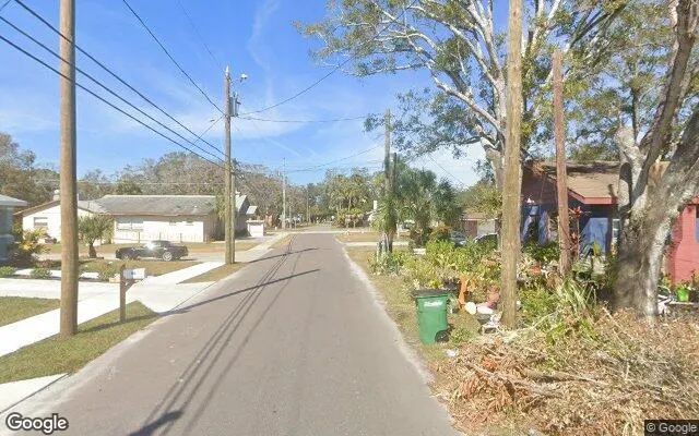 Decorative background for 0.14 Acres in Safety Harbor - Pinellas County, FL image 6