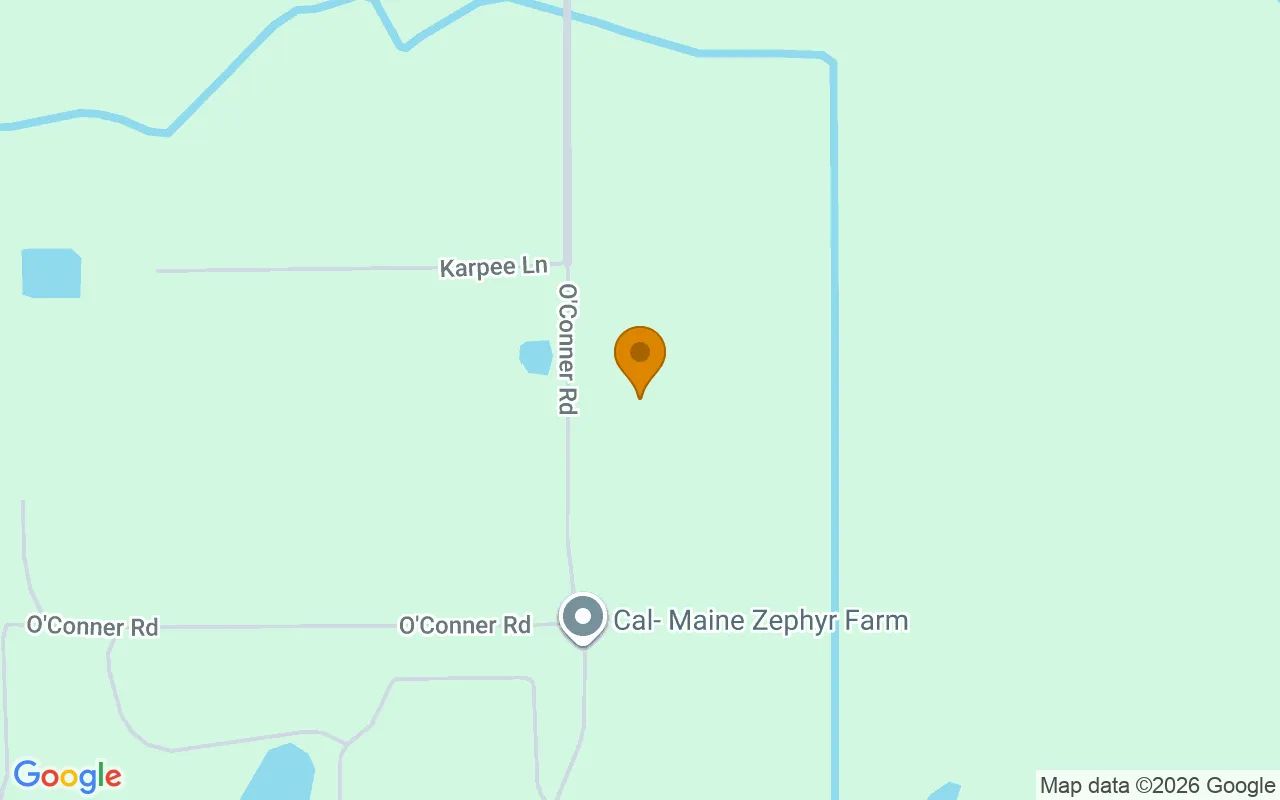 1.28 Acres in Kathleen - Polk County, FL in Polk County, FL