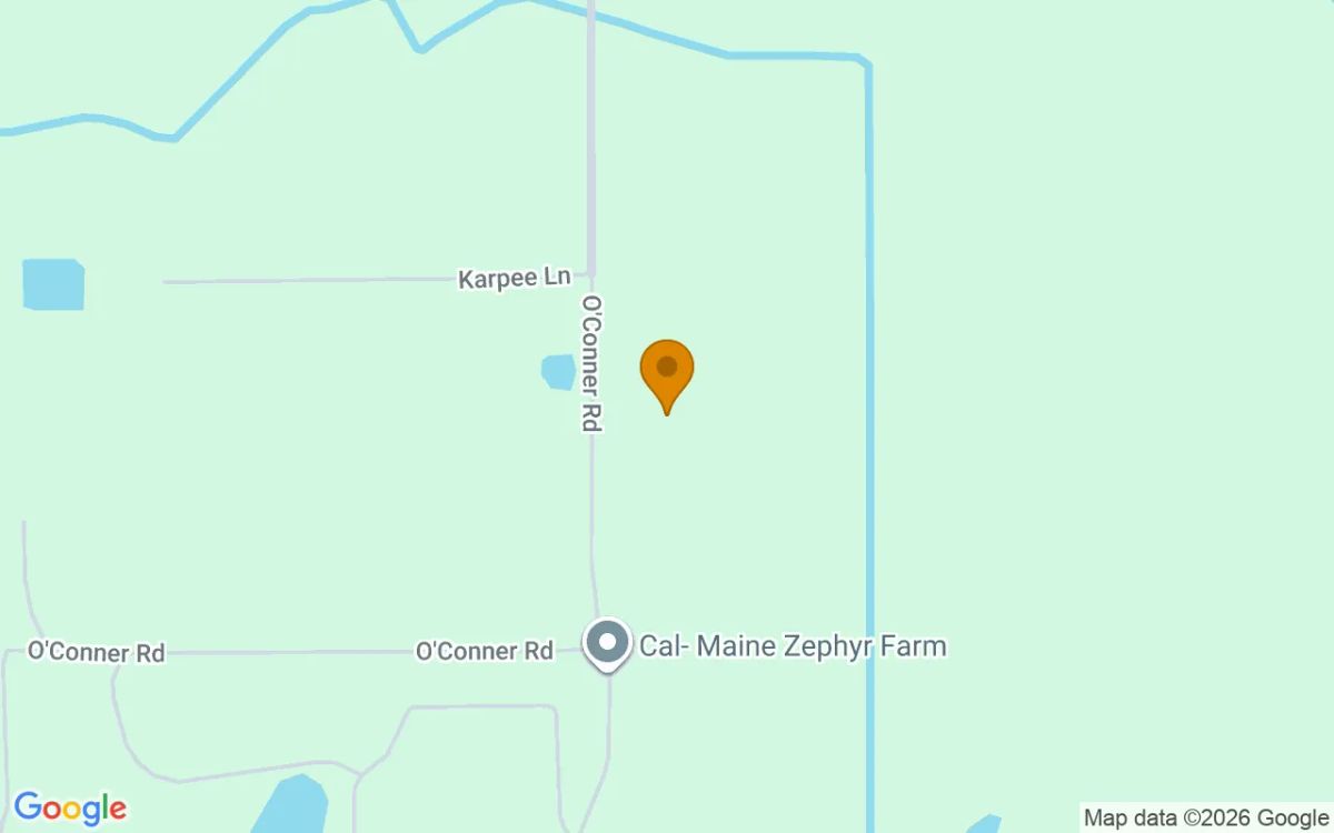 1.28 Acres in Kathleen - Polk County, FL - Image 2