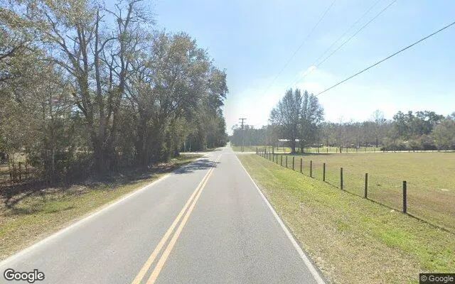 Decorative background for 1.96 Acres in Mc Alpin - Suwannee County, FL image 6