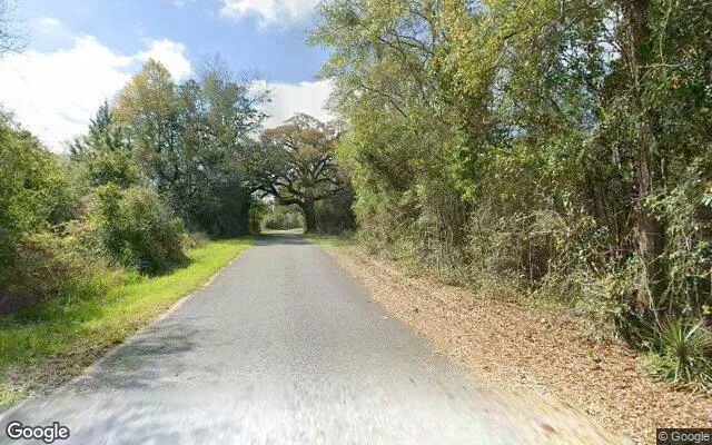 Decorative background for 0.12 Acres in Bascom - Jackson County, FL image 5