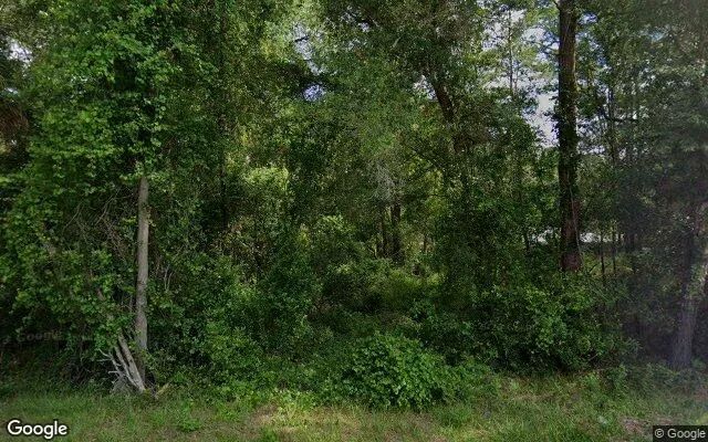 0.35 Acres in Cassadaga - Volusia County, FL - Image 4