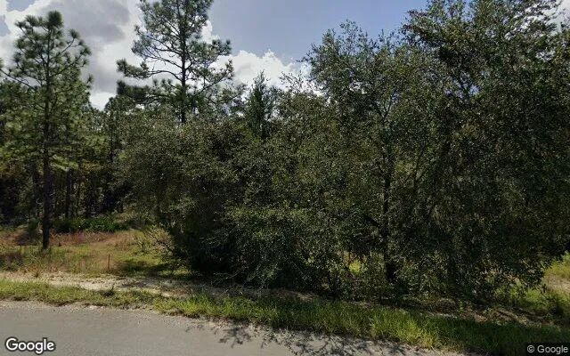 0.31 Acres in Interlachen - Putnam County, FL - Image 4