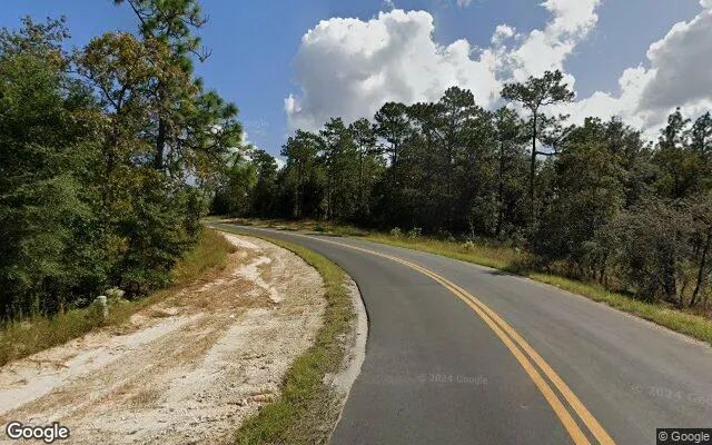Decorative background for 0.31 Acres in Interlachen - Putnam County, FL image 5