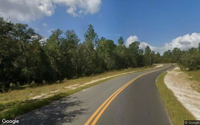 Decorative background for 0.31 Acres in Interlachen - Putnam County, FL image 6