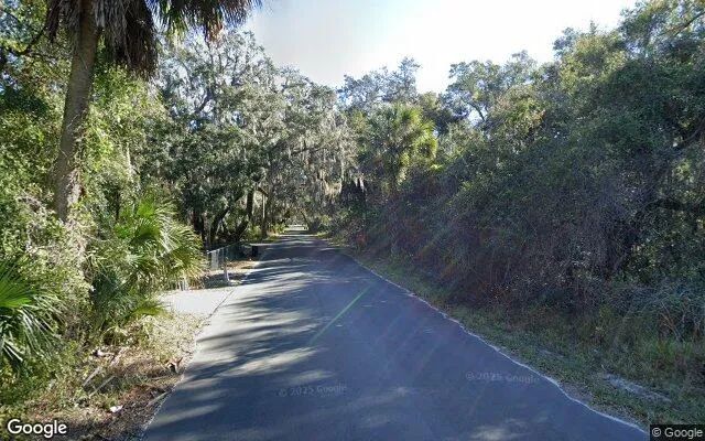 Decorative background for 0.22 Acres in San Mateo - Putnam County, FL image 6