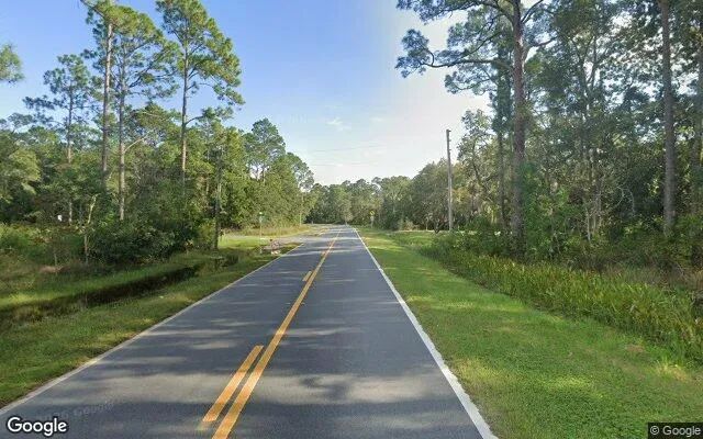 Decorative background for 1.46 Acres in Panacea - Wakulla County, FL image 5