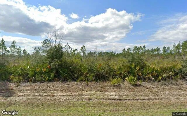 15.06 Acres in Altha - Calhoun County, FL - Image 4