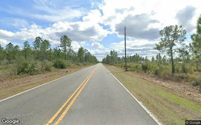 Decorative background for 15.06 Acres in Altha - Calhoun County, FL image 5