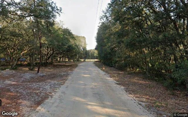 Decorative background for 0.24 Acres in Florahome - Putnam County, FL image 5