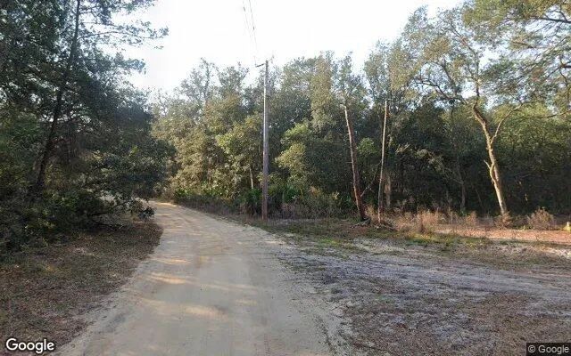 Decorative background for 0.24 Acres in Florahome - Putnam County, FL image 6