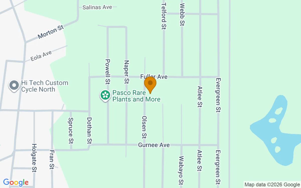0.27 Acres in New Port Richey - Pasco County, FL - Image 2