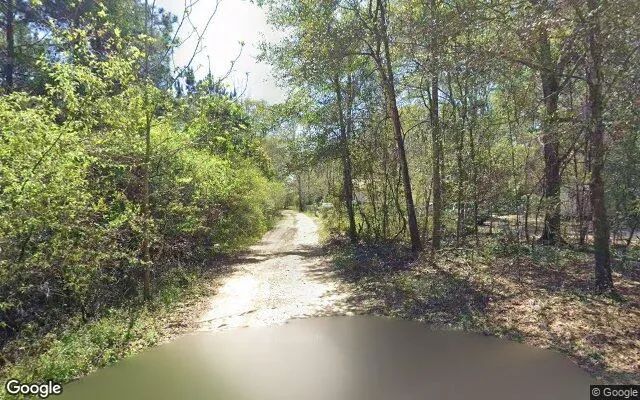 Decorative background for 0.55 Acres in Quincy - Gadsden County, FL image 5