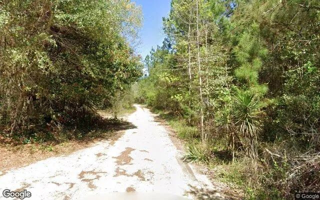 Decorative background for 0.55 Acres in Quincy - Gadsden County, FL image 6
