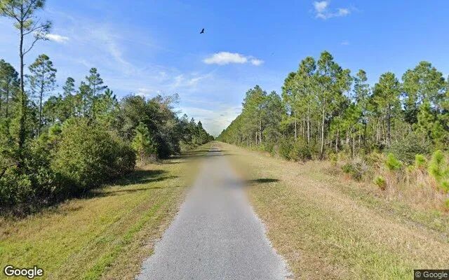 Decorative background for 0.55 Acres in Indian Lake Estates - Polk County, FL image 5