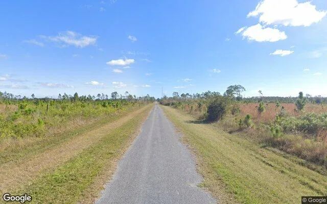 Decorative background for 0.55 Acres in Indian Lake Estates - Polk County, FL image 6