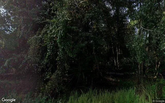 0.17 Acres in Palatka - Putnam County, FL - Image 4
