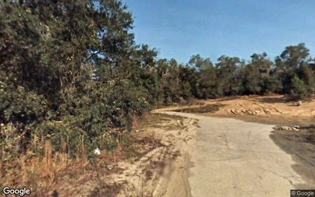 Decorative background for 0.11 Acres in De Leon Springs - Volusia County, FL image 5