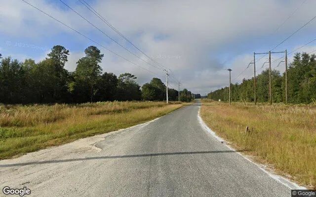 Decorative background for 0.55 Acres in Bostwick - Putnam County, FL image 5