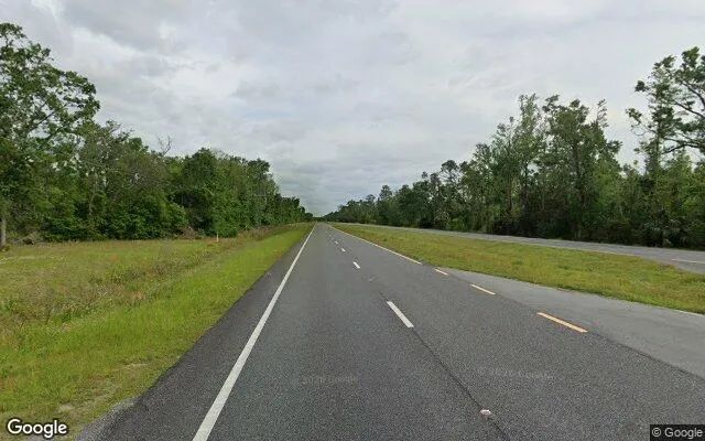 Decorative background for 2.07 Acres in Salem - Taylor County, FL image 6