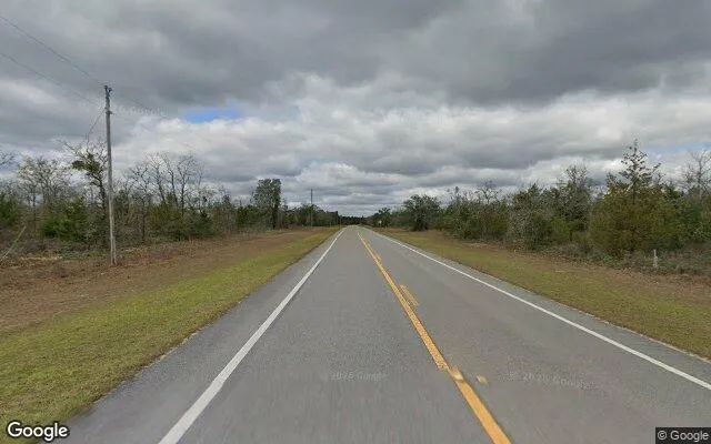 Decorative background for 1.5 Acres in Marianna - Jackson County, FL image 5
