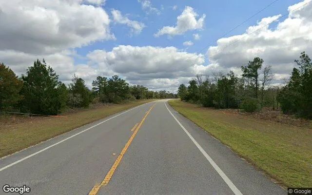 Decorative background for 1.5 Acres in Marianna - Jackson County, FL image 6