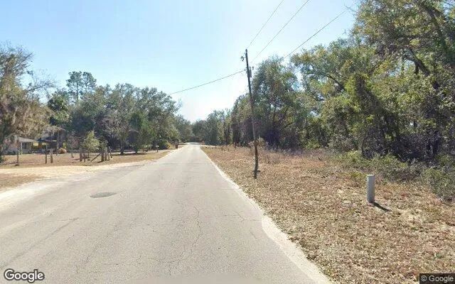 Decorative background for 0.55 Acres in Bronson - Levy County, FL image 5