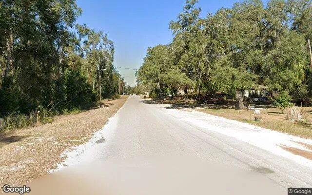 Decorative background for 0.55 Acres in Bronson - Levy County, FL image 6