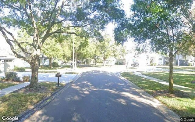 Decorative background for 0.55 Acres in Odessa - Hillsborough County, FL image 5