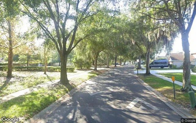 Decorative background for 0.55 Acres in Odessa - Hillsborough County, FL image 6