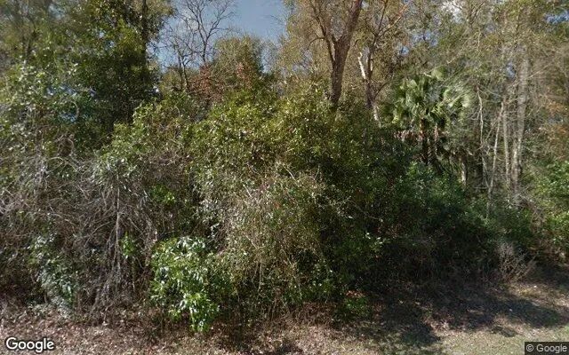 0.56 Acres in Bell - Gilchrist County, FL - Image 4