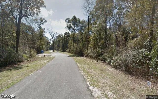 Decorative background for 0.56 Acres in Bell - Gilchrist County, FL image 5