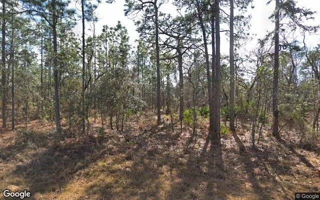 0.55 Acres in Brooksville - Hernando County, FL - Image 4