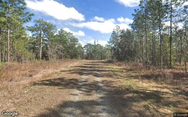 Decorative background for 0.55 Acres in Brooksville - Hernando County, FL image 5