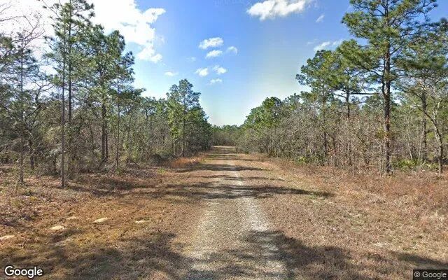 Decorative background for 0.55 Acres in Brooksville - Hernando County, FL image 6