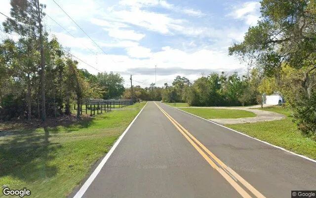 Decorative background for 1.26 Acres in Christmas - Orange County, FL image 6