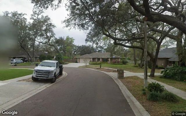 Decorative background for 0.33 Acres in Brandon - Hillsborough County, FL image 5