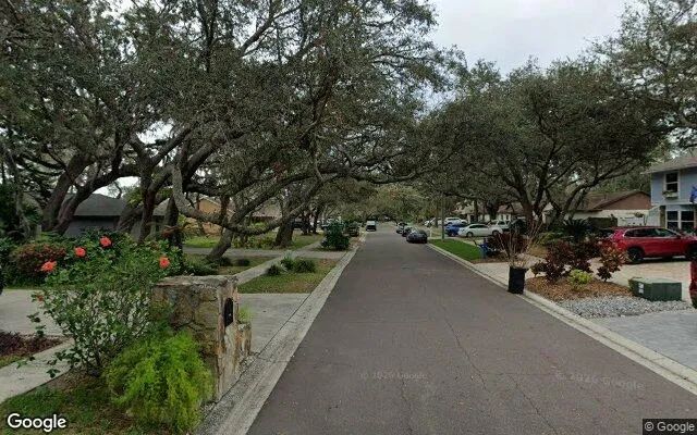 Decorative background for 0.33 Acres in Brandon - Hillsborough County, FL image 6