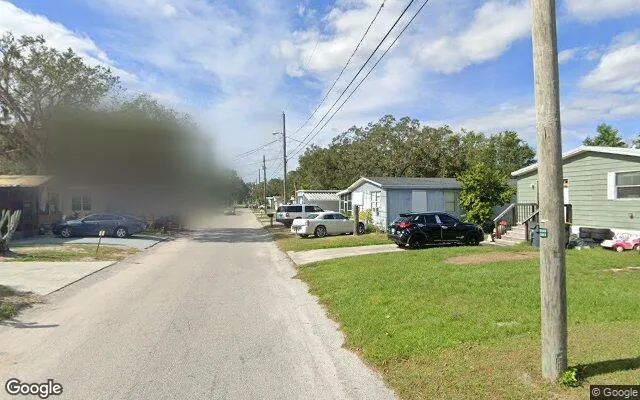 Decorative background for 0.1 Acres in Lake Alfred - Polk County, FL image 5