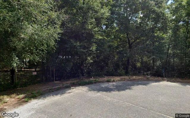 Decorative background for 0.28 Acres in Navarre - Santa Rosa County, FL image 6