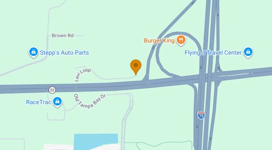 0.54 Acres in San Antonio - Pasco County, FL in Pasco County, FL